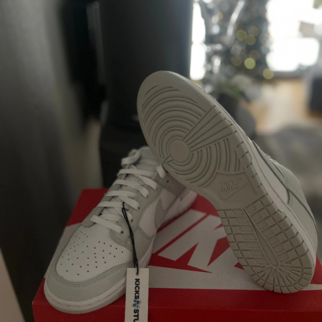 Nike dunk low photon dust