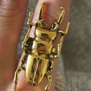 Ring ekoxe - Supersöt guldig eloxering!! Endast provad och säljer för att den inte kommer till användning💕 Den är justerbar🥰