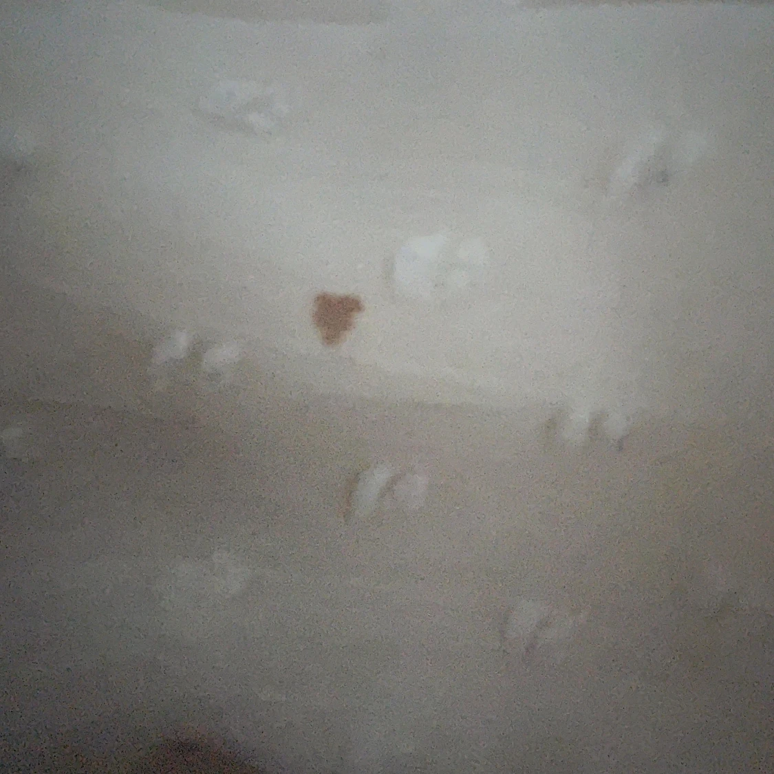 Slutsåld zara blus💓 - 91