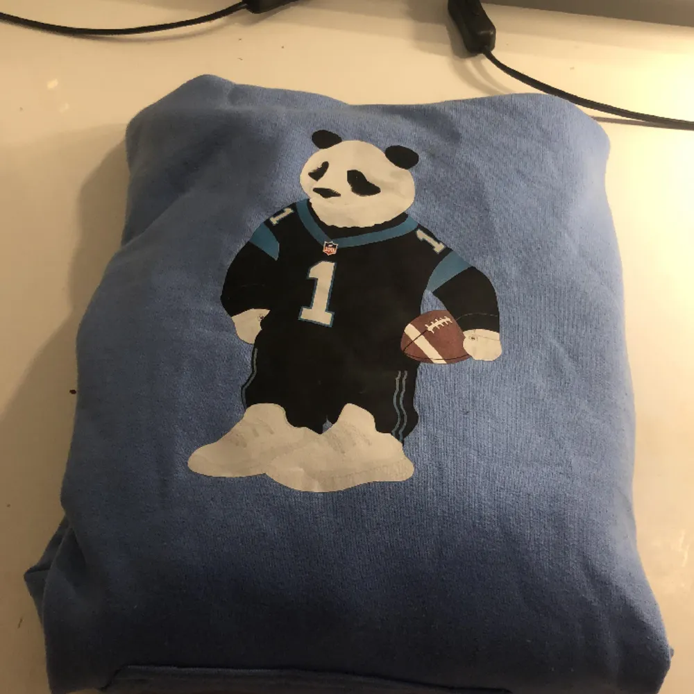 Färg: blå  Storlek: S-M  Hoodie med en panda på 💙 Använd: 2 gånger  Säljer för att: den inte kommer till användning!💙 Skriver ett pris men ni kan skriva privat till mig om ett annat pris om ni vill! 😁❤️. Hoodies.