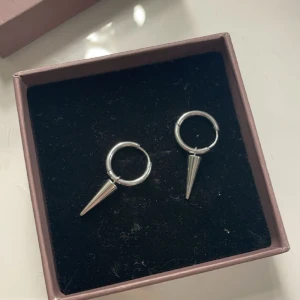 Edblad örhängen  - Säljer mina örhängen då dom inte används längre men nästan nyskick