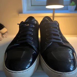 Lanvins skor - Sällsynt färg, storlek 43 och allt på bilden ingår samt dustbag och extra snören. Den har en liten defekt där bak men inget man kommer märka. 