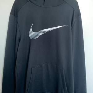 Nike hoodie med bra skick, size L ny-550. Skriva på dm, pris kan diskuteras