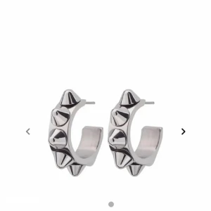 Edblad örhänge  - Säljer dessa då de ej kommer till användning💕 Nypris 399