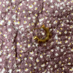 Nit örhänge edblad guld - 20 mm i dm,lite sämre skick än det silvriga som jag visade i annonsen före detta,jag har också lyckats tappa bort det andra som om ni också har det så kan ni köpa ett till här, eller om ni bara vill ha ett örhänge.