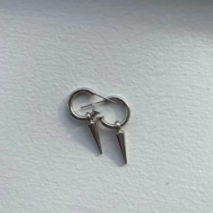 öehängen - jätte fina örhängen 