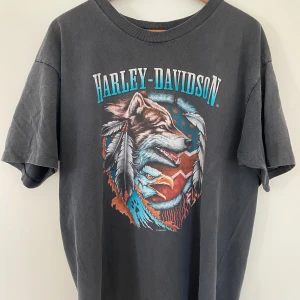 HOLOUBEK HARLEY 95/96 - Superfint vintage skick, små cracks i print. Tar bud. 