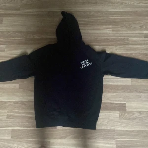 Enkel tröja med ett litet tryck  - Finn tröja knappt använde så skick 10/10,kan få ner i pris 