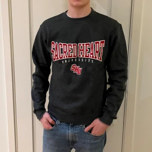 Champion university sweatshirt  - En grå Champion Ecco fleece hoodie i storlek small, s. Motivet på tröjan är Sacred Heart University. Det är bra kvalite.