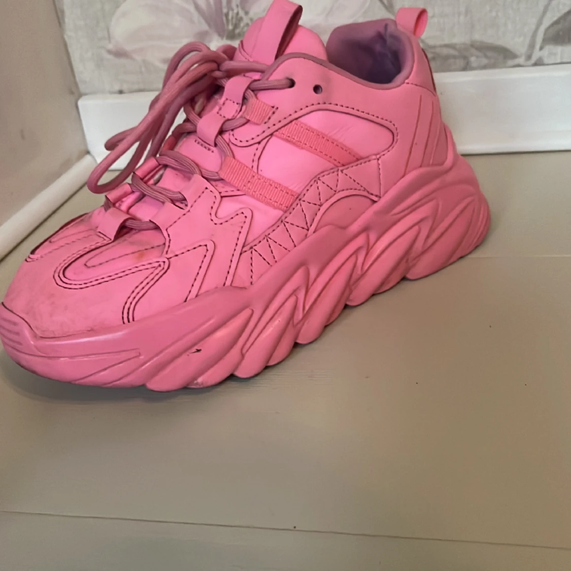 Sneakers Steve madden