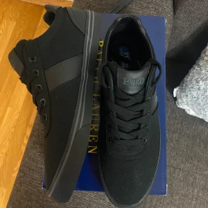 Ralph lauren skor  - Helt nya Hanford Ralph lauren skor. Endast testade aldrig använda utomhus. Beställda men inte möjlighet att skicka tillbaka så därför helt nya. Storlek 42 passar 42 men även 43. Nypris 1100kr. Pris går att diskuteras😄perfekta till studenten m.m