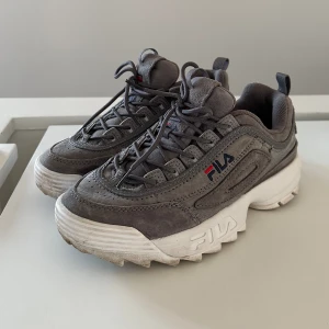 FILA chunky sneakers - Använda ett par gånger men i jättefint skick. Storlek 41 men mer som 40 så säljer pga för små i storleken för mig.  Nypris 1600 kr, säljer för 450 kr.  Hämtas i Trelleborg 