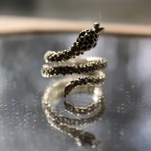En ring som är formad som en orm 