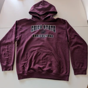 Vintagetröja - Medium, hyfsat skick men litet hål på ena axeln.