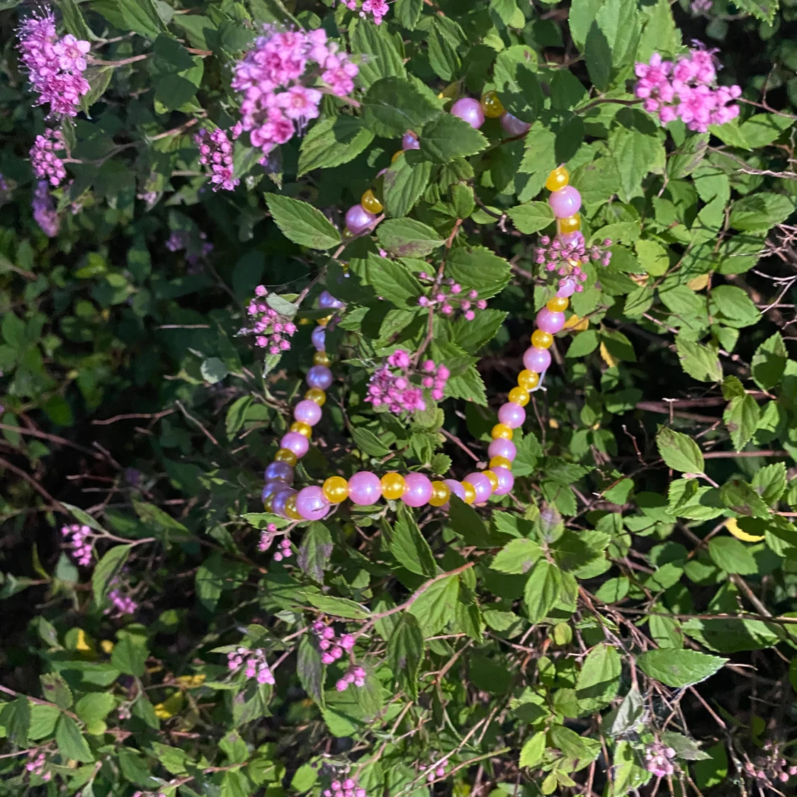 Somrigt halsband  - 90