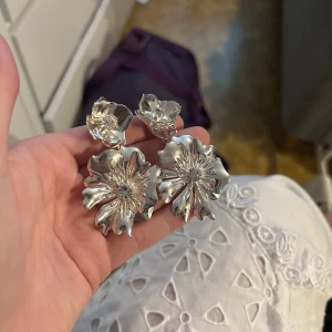 Örhängen från glitter - De är clip-ons men funkar super även om man har hål men passar bara inte helt mig stil.  Nypris typ 200 tror jag. Är oanvända