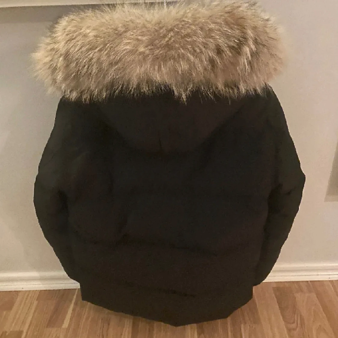 Canada goose wyndham  - 90