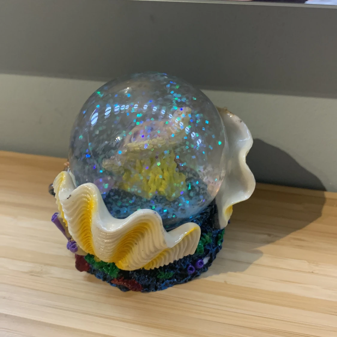 Snöboll med en sköldpadda i - 91