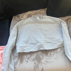 Gymshark magtröja - Magtröja från gymshark i storlek S knappt använd köptes för två år sedan och legat mest i garderoben. Vid smidig affär kan jag tänka mig gå ner i pris