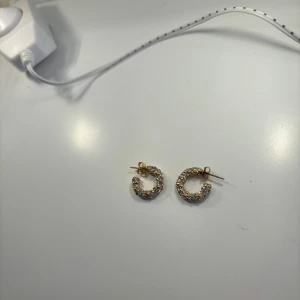 Skitsnygga örhängen  - Köpare står för frakt, kan mötas upp i gbg. 