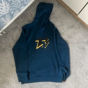 Jordan hoodie - Säljer min Jordan hoodie  Bra skick 