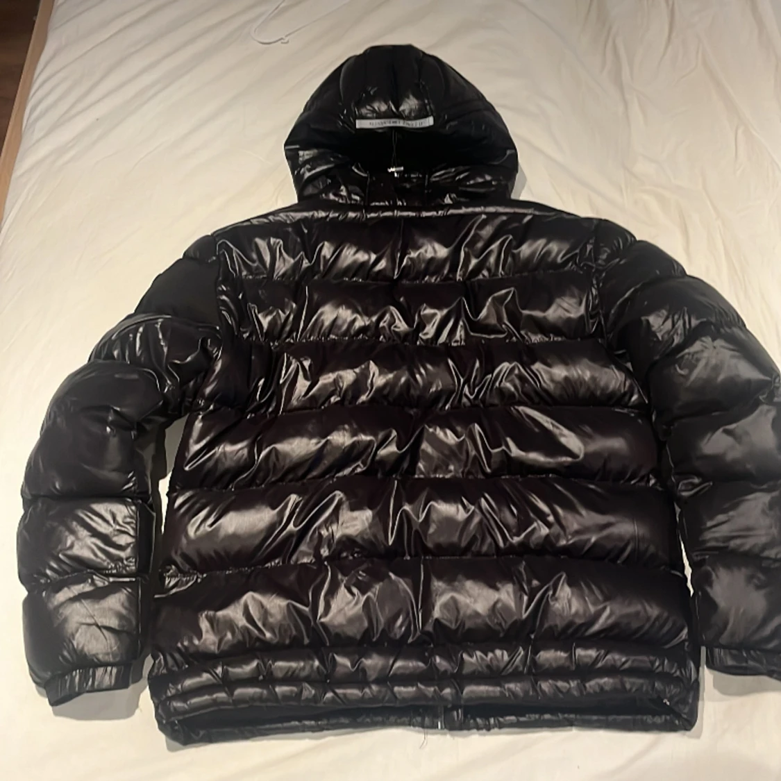 Allesandro Zavetti jacka