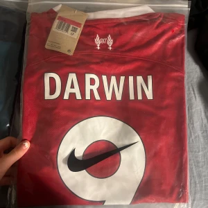 Darwin  - Nunez tröja 