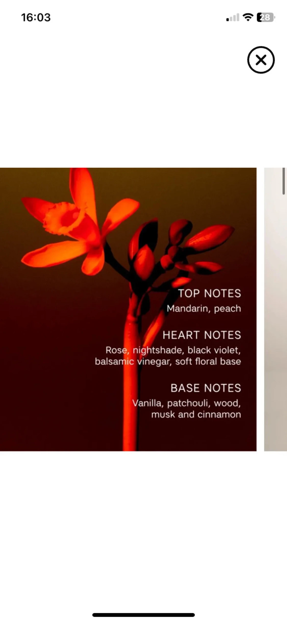 CAIA La Nuit Eau de Parfum - 1