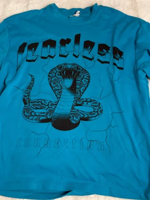 Blå t-shirt med tryck från FB Sister - Cool blå tröja från FB Sister i storlek S med ett stort tryck av en orm och texten 'fearless connection' på framsidan. Tröjan har rund hals och kort perfekt för dig som gillar kläder med attityd.