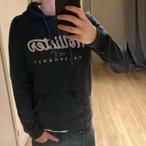 Blå Hollister hoodie - Säljer en hollister hoodie i mycket bra skick, sitter bra och är riktigt snygg!  