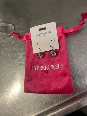 Dyrberg & Kern örhänge - Perfekt julklapp till tex flickvännen ,mamma eller syster. Nypris 349:-