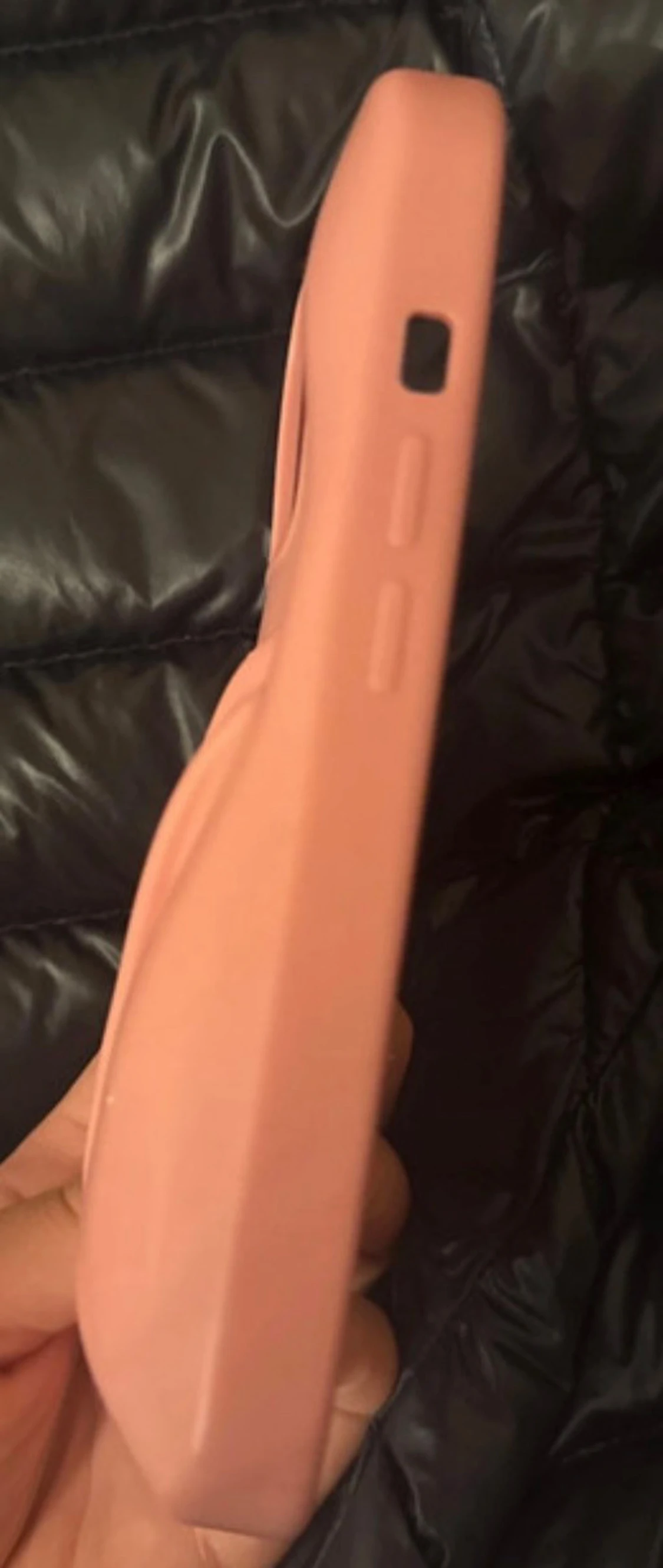 Rosa rhode skal  - 4