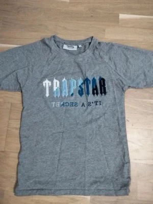 Grå Trapstar t-shirt - Säljer en grå t-shirt från Trapstar med stort tryck