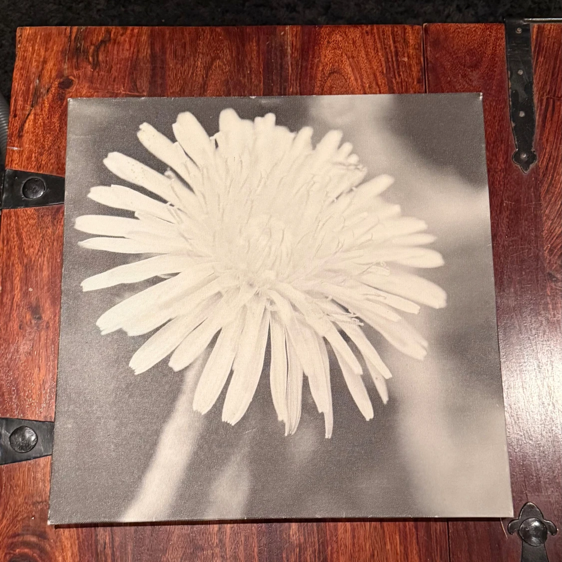 Tavla - blomma i svart vitt