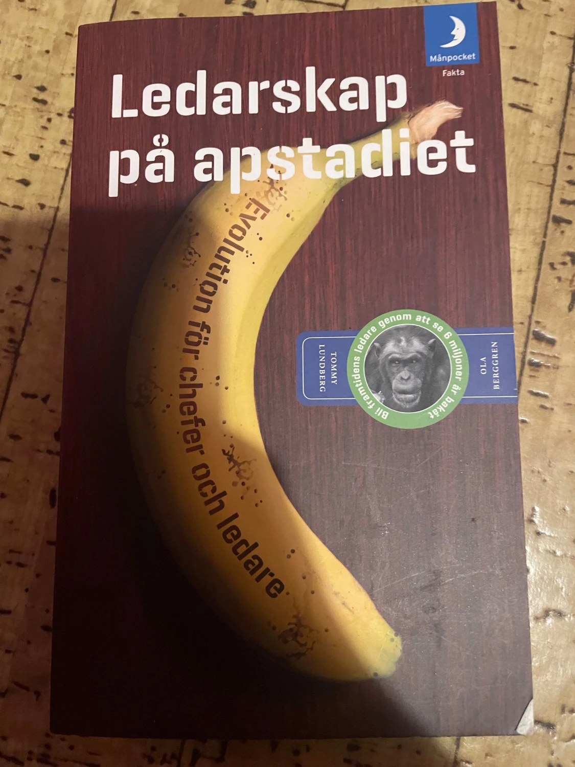 Ledarskap på apstadiet