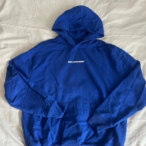  Benjamin Ingrosso hoodie - Blå hoodie med vit text 'DIRTY LITTLE SECRET' framtill och stort turnétryck på ryggen med Benjamin Ingrosso och turnédatum. Klassisk känguruficka, ribbade muddar och huva. Perfekt för dig som gillar musik och vill sticka ut i mängden. 💕💕 aldrig använd!