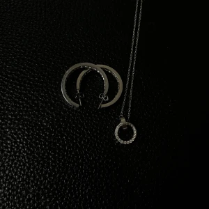 Monaco örhängen & Eternal Orbit halsband - Säljer ett par Monaco Earrings Small i stål med stenar från Edblad samt ett matchande Eternal Orbit Necklace i stål. Säljer då jag inte använder silver smycken längre men de är i perfekt skick!💗