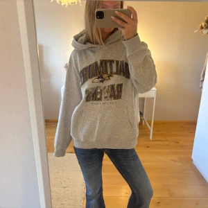 Grå Baltimore Ravens hoodie från H&M - Säljer en grå hoodie från H&M med Baltimore Ravens tryck i lila och gult. Tröjan har huva, magficka och långa ärmar. Perfekt för dig som gillar NFL eller vill ha en chill streetstyle. Materialet är mjuk bomull och passformen är loose.