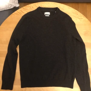 Mörkbrun merinoullströja These Glory Days - Säljer en stilren mörkbrun tröja från These Glory Days i mjuk merinoull. Klassisk rund halsringning och långärmad modell, perfekt för lager-på-lager under kyliga dagar. Enkel och clean design som funkar till allt. Känns mer  som en S i storleken.  