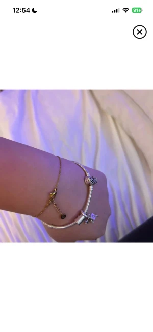 Pandora silverarmband - Snyggt silverarmband från Pandora med tre berlocker. Jätte bra skick. Nypris 2100kr. Pris går att diskutera!🩷