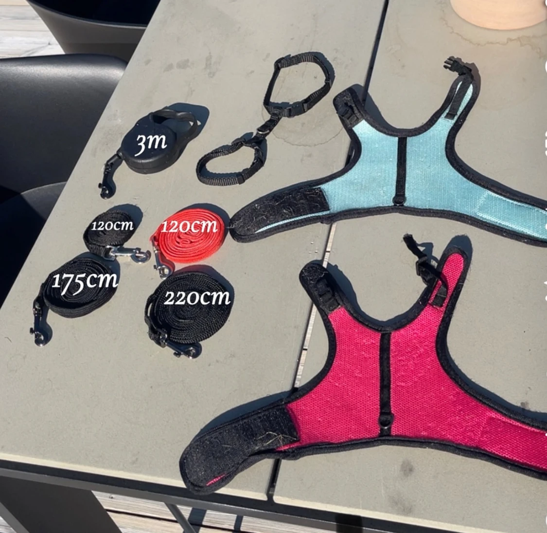 Kanin koppel och selar 