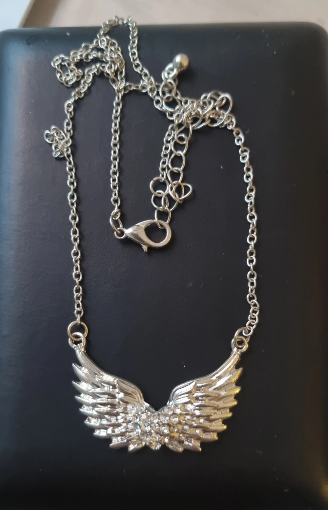 Silverfärgat halsband med vingar