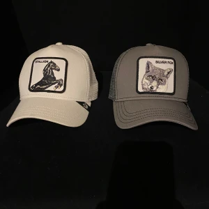 Två goorin bros kepsar - Säljer två snygga truckerkepsar från Goorin Bros. Ena kepsen är vit med svart hästmotiv och texten 'STALLION', den andra är grå med motiv av en silverräv och texten 'SILVER FOX'. Båda har mesh på sidorna och justerbar passform. Jag säljer båda för 200 och en för 90. Öppen för prisförslag. 