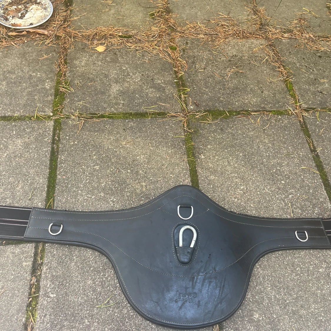 Svart magplatta från Lippo  - 1