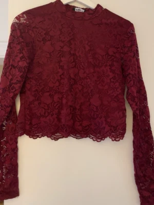 Vinröd spetsblus från FB Sister - Säljer en vinröd blus från FB Sister i storlek M. Blusen är helspets med blommigt mönster, långärmad och har en croppad passform. Den har en hög hals och fina vågiga kanter nedtill och vid ärmslut. Perfekt för dig som gillar detaljer och snygga toppar! (Mörkare i verkligheten)