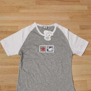 Grå och vit Snoopy t-shirt - Snoopy t-shirt i grått och vitt med korta ärmar. Framsidan har tryck med röd stjärna och Snoopy-ansikte med blå stjärnor. Skön bomullskänsla och klassisk raglanmodell. Perfekt för dig som gillar coola prints och serietidningsvibbar.