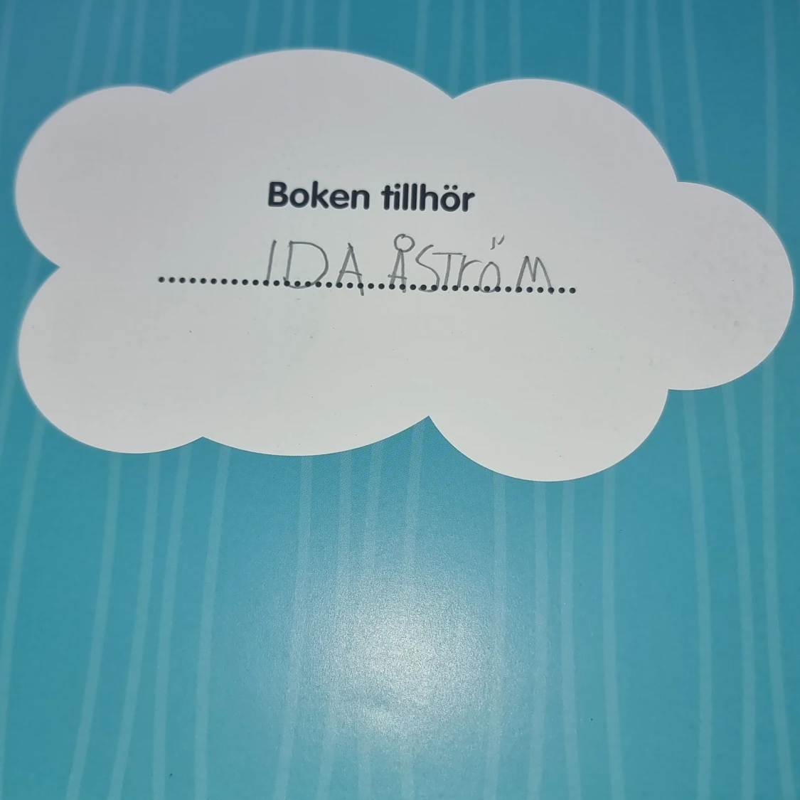 Viktor mer än Adhd - 2