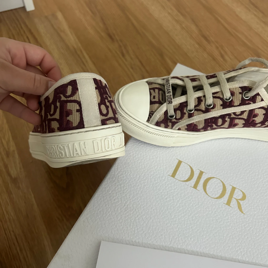 Walk n dior - 1