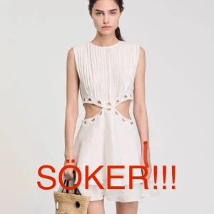 SÖKER SANDRO KLÄNNING - Letar efter denna mini klänning med cut outs från sandro i strl XS !!🙏🙏