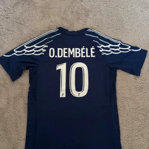PSG x Jordan Dembélé #10 blå matchtröja - Snygg blå Paris Saint-Germain fotbollströja i samarbete med Jordan, med O. Dembélé och nummer 10 på ryggen. Tröjan har vita detaljer, vingmönster på axlarna och Qatar Airways som sponsor. Tillverkad i lätt och ventilerande material.